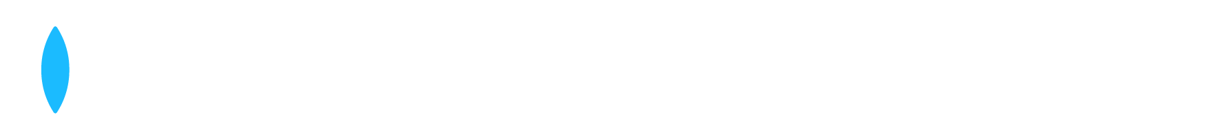 Dallmeier electronic